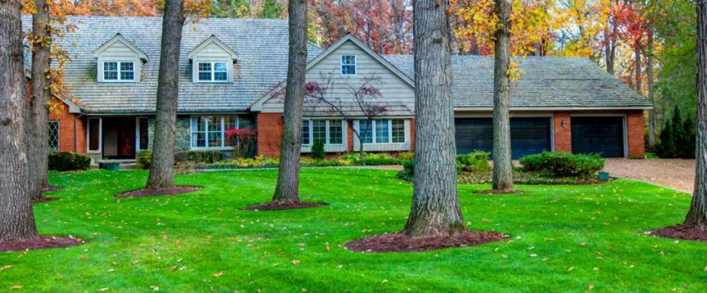 Lawn Spraying, Weed Spraying, Weed Control Twin Falls, Nampa